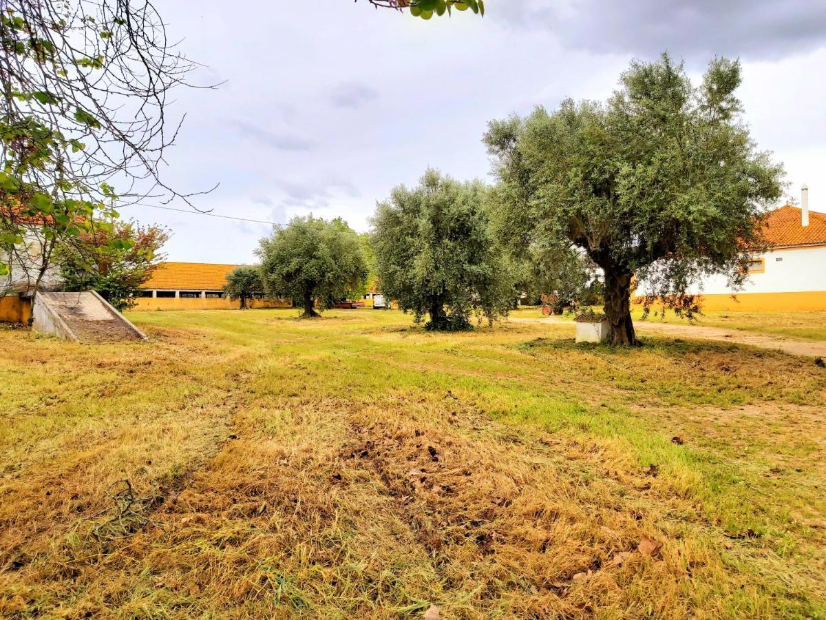 Casas Herdade Do Convento Da Serra Almeirim Exterior foto
