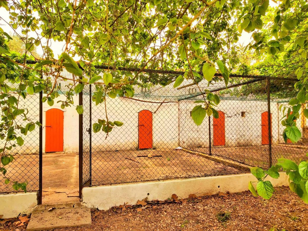 Casas Herdade Do Convento Da Serra Almeirim Exterior foto